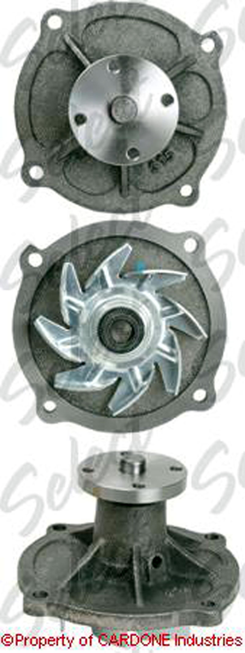 www.nexpart.de - WASSERPUMPE -MOTORKÜHLUNG