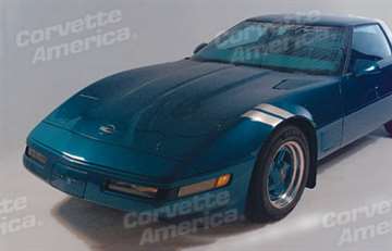 www.nexpart.de - FRONT FENDER ACCENT STRIP