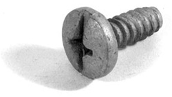 www.nexpart.de - REAR LICENSE PLATE SCREW